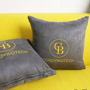 ผลิตหมอน หมอนอิง หมอนพรีเมี่ยม บริษัท Coedy Biotec H